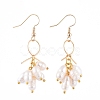 Natural Cultured Freshwater Pearl Dangle Earrings EJEW-JE04135-01-1