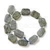 Natural Labradorite Beads Strands G-C098-A05-01-3