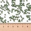TOHO Round Seed Beads SEED-JPTR08-0119-4