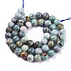 Natural Chrysocolla Beads Strands G-R477-8mm-2