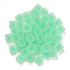 Frosted Acrylic European Beads OACR-G012-14B-3
