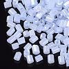 6/0 Two Cut Glass Seed Beads SEED-S033-08B-03-2
