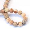 Frosted Natural Picture Jasper Round Bead Strands G-E334-6mm-26-3