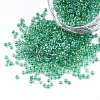 12/0 Glass Seed Beads SEED-A016-2mm-216-1