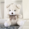 Cute Plush PP Cotton Bear Doll Pendant Decorations PW-WG35616-01-1