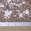 MIYUKI Delica Beads Small SEED-X0054-DBS0191-4