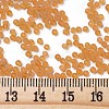 Glass Seed Beads SEED-A008-2mm-M2-3
