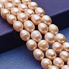 Natural Cultured Freshwater Pearl Beads Strands PEAR-P060-29A-1