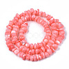 Natural Sea Shell Beads Strands SSHEL-S278-131F-2