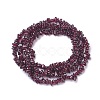 Natural Garnet Chip Beads Strands G-L491-06-3