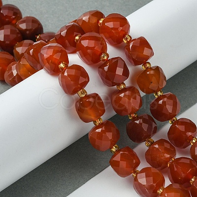 Natural Carnelian Beads Strands G-Q010-A17-01-1