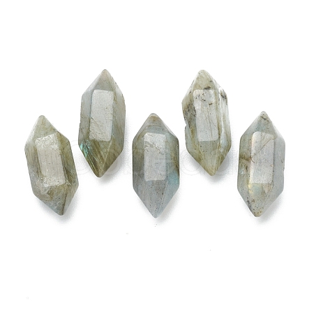 Faceted No Hole Natural Labradorite Beads G-K034-20mm-16-1