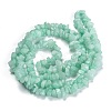 Dyed Natural Amazonite Beads Strands X-G-F703-08-3