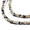 Natural Dalmatian Jasper Beads Strands G-S299-149-3