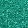 TOHO Round Seed Beads SEED-JPTR11-1832-2