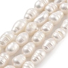 Natural Cultured Freshwater Pearl Beads Strands PEAR-P062-08B-1