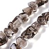 Natural Smoky Quartz Beads Strands G-B072-C01-01-2