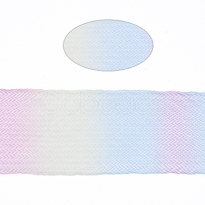 Mesh Ribbon PNT-S030-001B-1