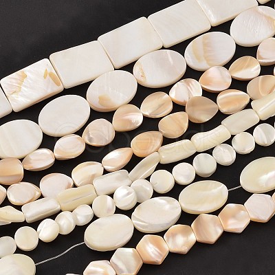 Natural Mixed Shape Sea Shell Bead Strands BSHE-E004-01-1