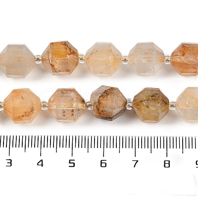 Natural Dendritic Quartz Beads Strands G-O201B-150H-1