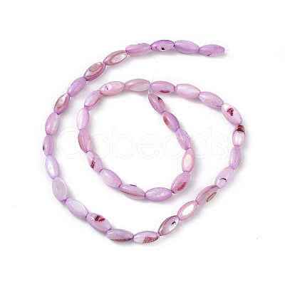 Natural Freshwater Shell Dyed Beads Strands SHEL-M018-13-10-1