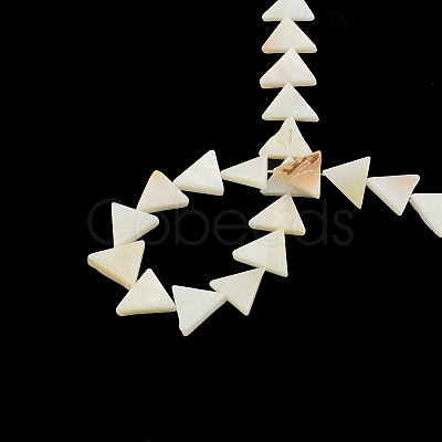 Triangle Natural Sea Shell Beads Strands X-SSHEL-F290-11-1