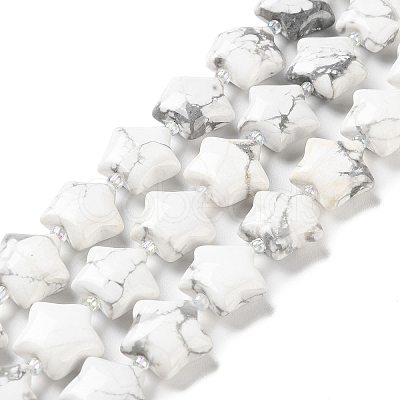 Natural Howlite Beads Strands G-NH0005-006-1