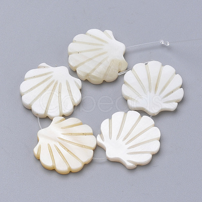 Natural Freshwater Shell Beads X-SHEL-T007-02-1