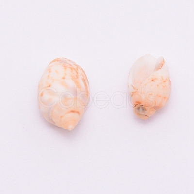 Natural Conch Shell Beads SSHEL-WH0001-33-1