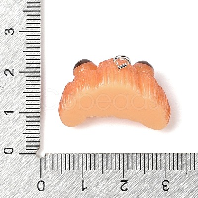 Resin Imitation Food Pendants FIND-U001-02A-1