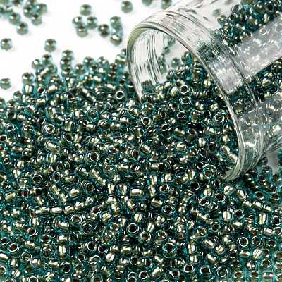 TOHO Round Seed Beads SEED-JPTR11-0284-1