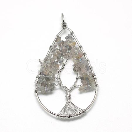 Natural Chip Labradorite Big Pendants G-R437-P10-1