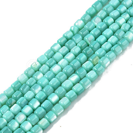 Natural Freshwater Shell Beads Strands X-SHEL-N003-33-A04-1