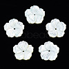 Natural White Shell Mother of Pearl Shell Beads SSHEL-T014-42B-1