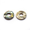 Natural Paua Shell Beads SSHEL-G020-29-15mm-2