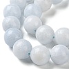 Natural Celestite/Celestine Beads Strands G-M414-A01-04-3