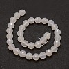 Natural Agate Bead Strands G-G882-12mm-A06-6-2