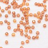 6/0 Glass Seed Beads X-SEED-J012-F6-111-3