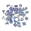 52Pcs 2 Colors Alloy Rhinestone Slide Charms ALRI-TA0001-14-11