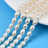 Natural Cultured Freshwater Pearl Beads Strands PEAR-N012-05A-1