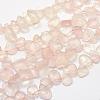 Natural Rose Quartz Strands G-K202-16-1