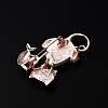 Alloy Brooch PW-WG63571-01-3