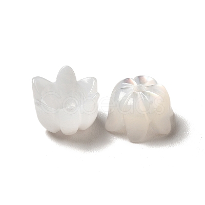 Natural Freshwater Shell Bead Caps BSHE-E026-12-1