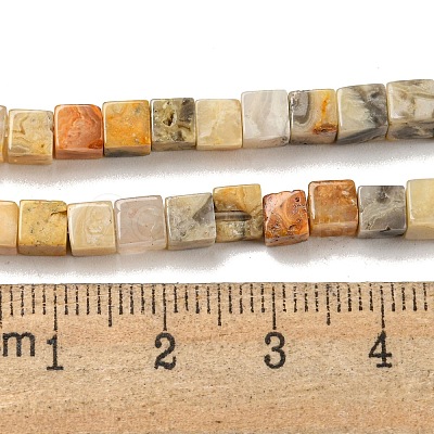 Natural Crazy Agate Beads Strands G-F631-K27-1