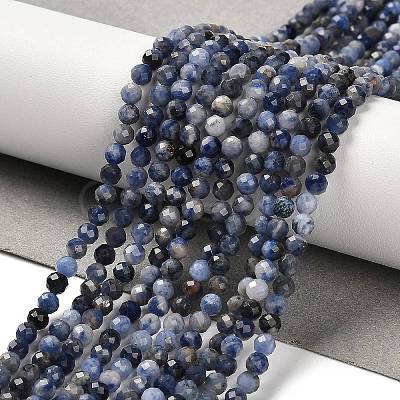 Natural Sodalite Beads Strands G-B107-A03-05-1