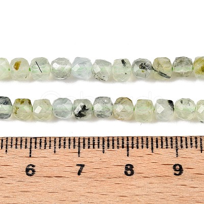 Natural Prehnite Beads Strands G-N342-124-1