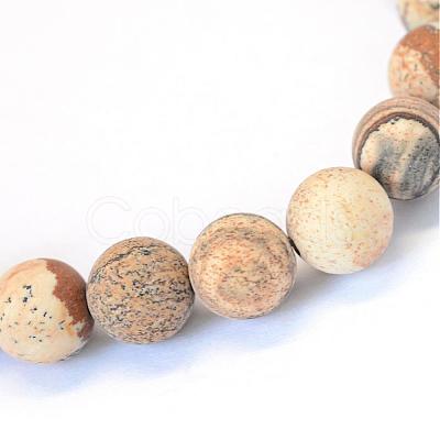 Frosted Natural Picture Jasper Round Bead Strands G-E334-6mm-26-1