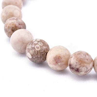 Natural Maifanite/Maifan Stone Bead Stretch Bracelets BJEW-K212-A-044-1