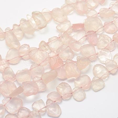 Natural Rose Quartz Strands G-K202-16-1