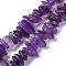 Natural Amethyst Beads Strands, Chip, Grade A, 12~18x5~8mm, Hole: 1mm, 15.3 inch(39cm)